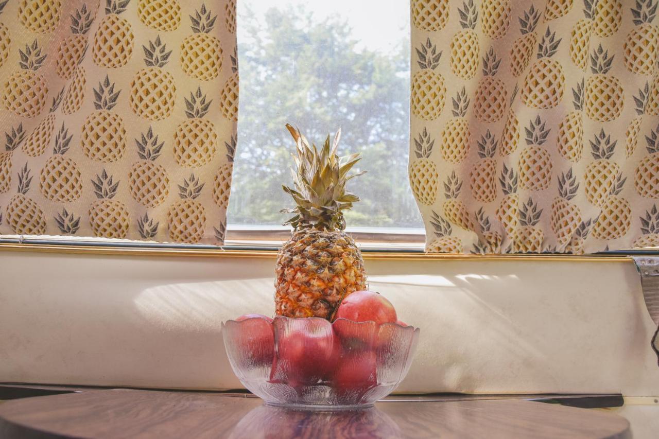 Les Insolites du Domaine d'Haulmé Extérieur photo